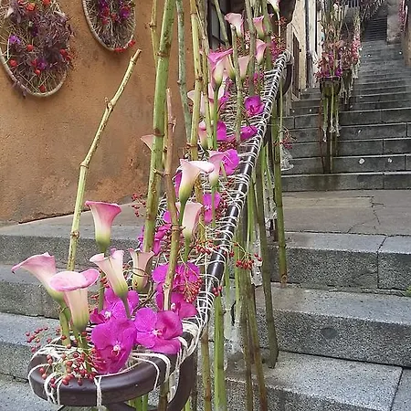 Апартаменты Logis Muraille Romaine, Centre Historique, Lit Queen Size