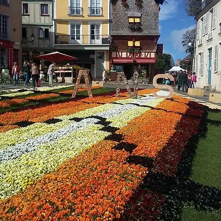 Logis Muraille Romaine, Centre Historique, Lit Queen Size * Le Mans