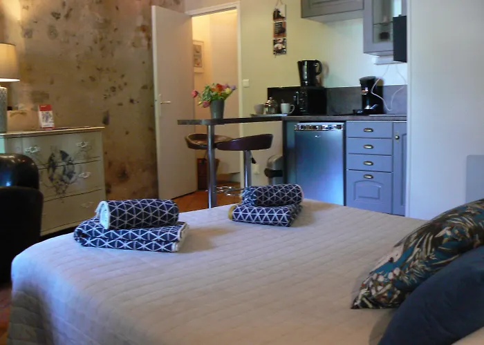 Logis Muraille Romaine, Centre Historique, Lit Queen Size * Le Mans